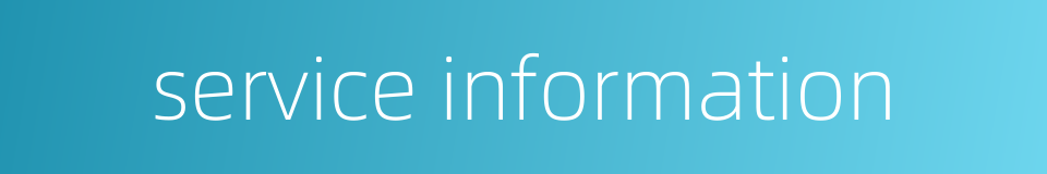 service information的同义词