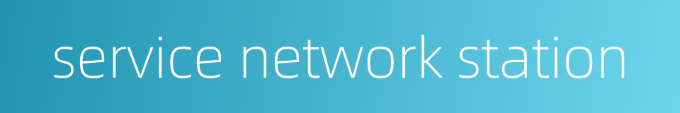 service network station的同义词