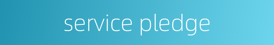 service pledge的同义词