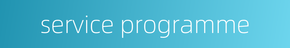 service programme的同义词