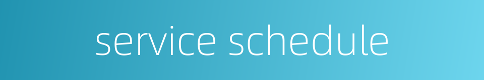 service schedule的同义词