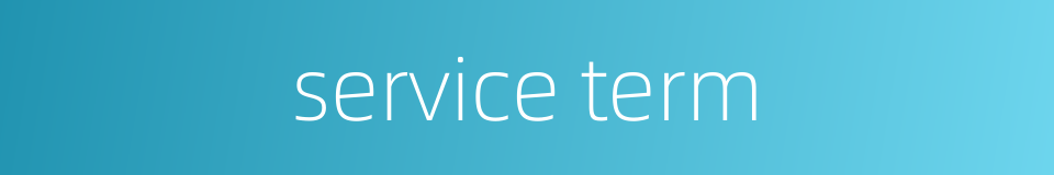 service term的同义词