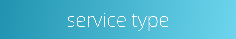service type的同义词