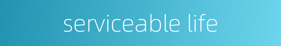 serviceable life的同义词