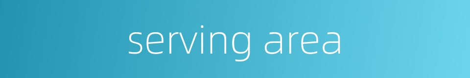 serving area的同义词