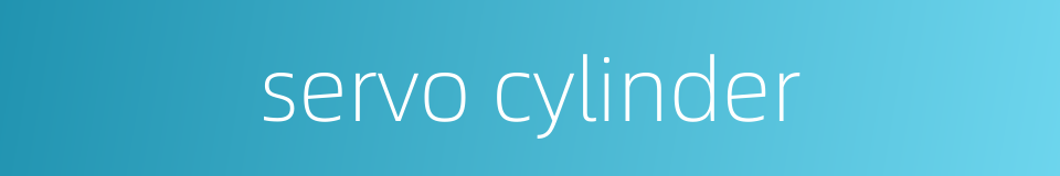 servo cylinder的同义词