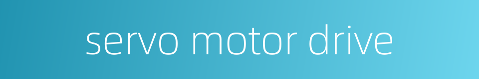 servo motor drive的同义词