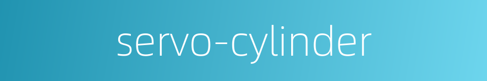 servo-cylinder的同义词