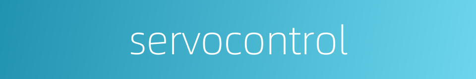 servocontrol的同义词