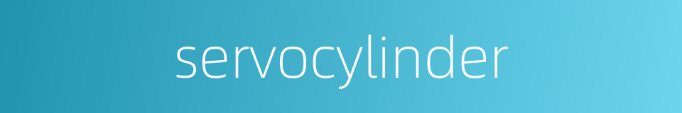 servocylinder的同义词