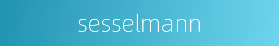 sesselmann的同义词