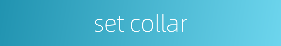 set collar的同义词
