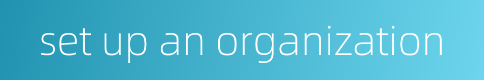 set up an organization的同义词