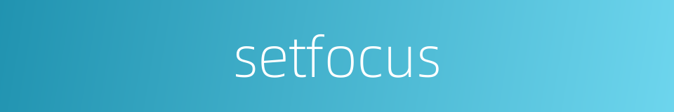 setfocus的同义词