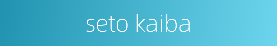 seto kaiba的同义词