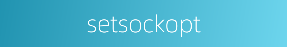 setsockopt的同义词