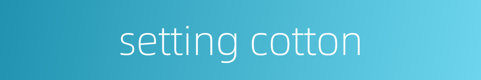 setting cotton的同义词