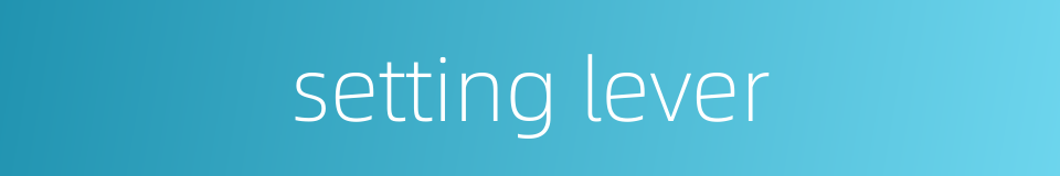 setting lever的同义词