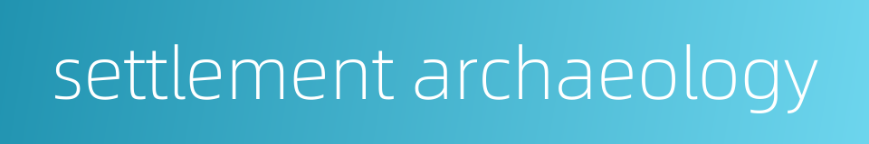 settlement archaeology的同义词