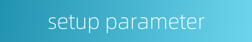 setup parameter的同义词