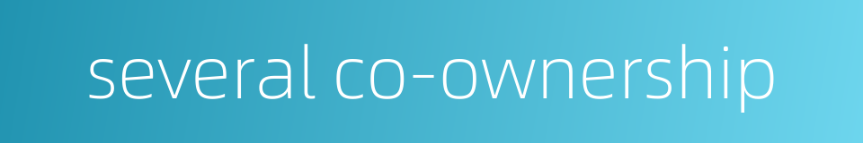 several co-ownership的同义词