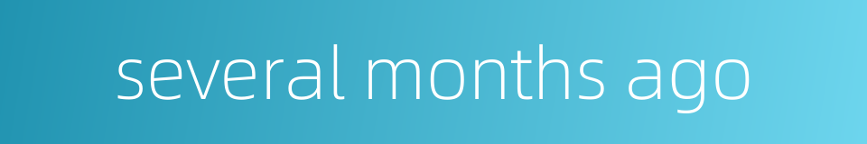 several months ago的同义词