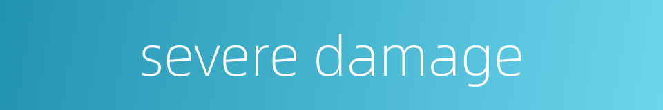 severe damage的同义词