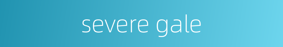 severe gale的同义词
