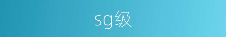 sg级的同义词