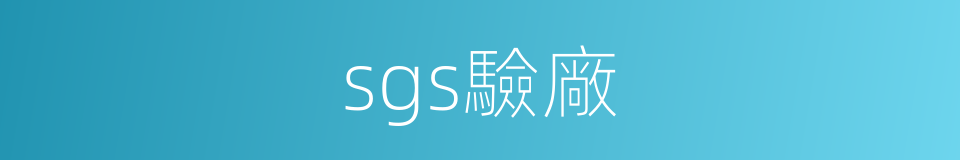 sgs驗廠的同義詞