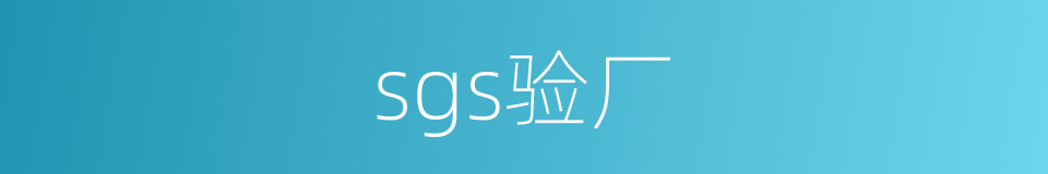 sgs验厂的同义词