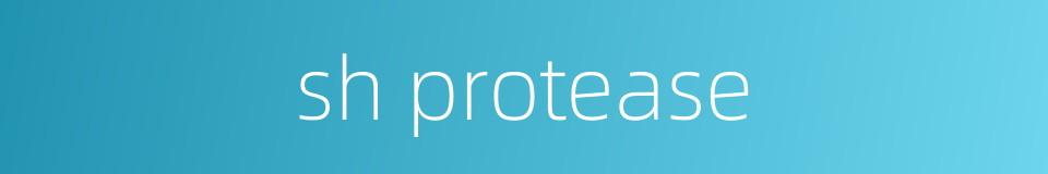 sh protease的同义词