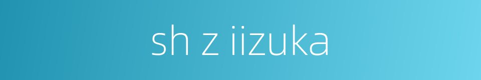 sh z iizuka的同义词