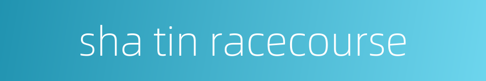 sha tin racecourse的同义词