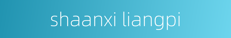 shaanxi liangpi的同义词