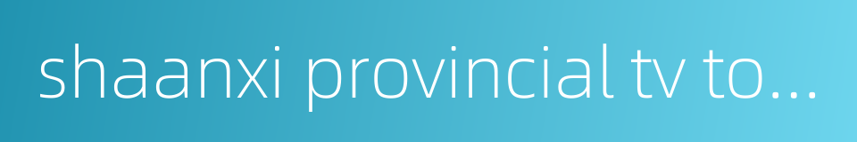 shaanxi provincial tv tower的同义词