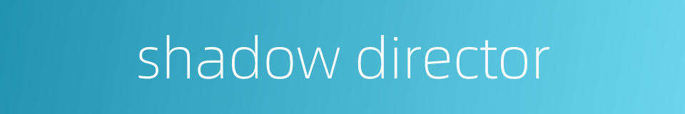 shadow director的同义词