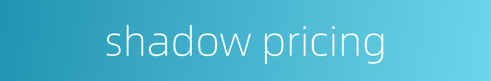 shadow pricing的同义词