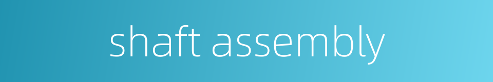 shaft assembly的同义词