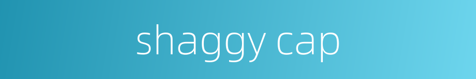 shaggy cap的同义词