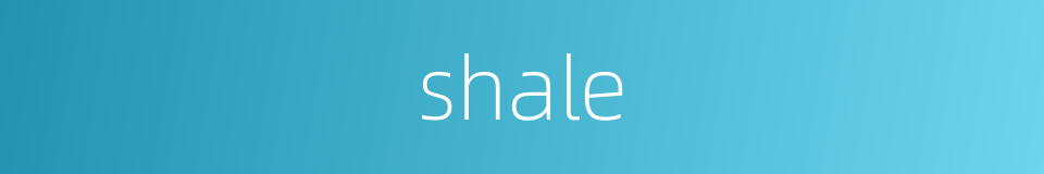 shale的同义词