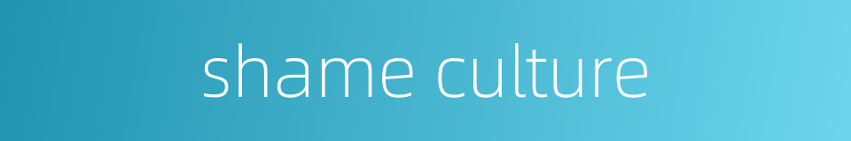 shame culture的同义词