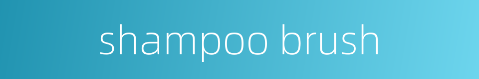 shampoo brush的同义词
