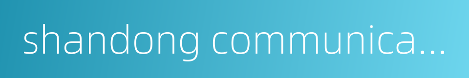 shandong communications system的同义词