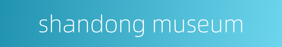 shandong museum的同义词