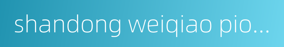 shandong weiqiao pioneering group的同义词