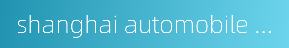 shanghai automobile city station的同义词