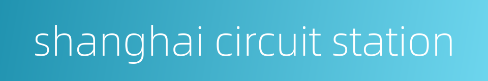 shanghai circuit station的同义词