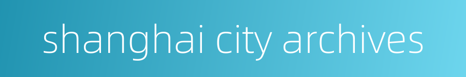 shanghai city archives的同义词