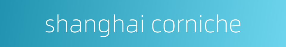 shanghai corniche的同义词